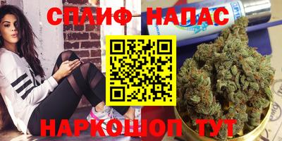 ПСИЛОЦИБИНОВЫЕ ГРИБЫ Сланцы