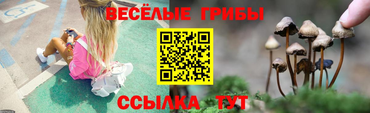 Псилоцибиновые грибы прущие грибы Северск