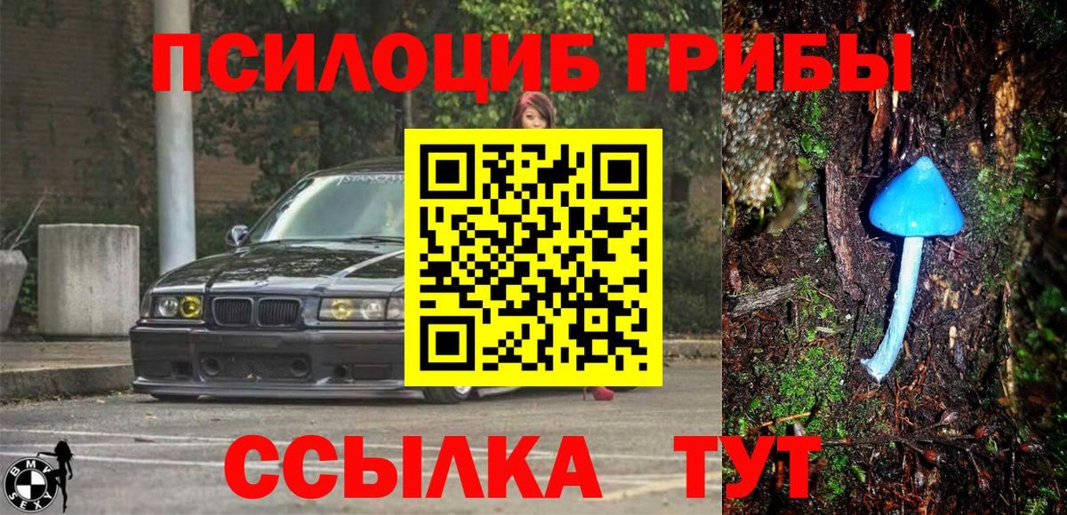 Галлюциногенные грибы прущие грибы  Вход с VPN  Северск  Галлюциногенные грибы GOLDEN TEACHER 